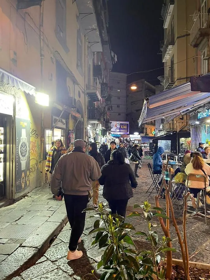 Housepignasecca Apartment Naples Italy